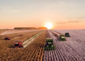 Traktör İstatistik Raporu