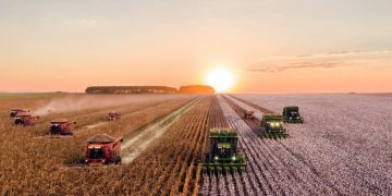 Traktör İstatistik Raporu