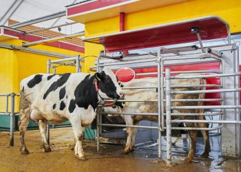 Hayvancılık Sektörünün Geleceğine Yön Verecek Projeler HAYTEKFEST’te Buluşuyor!