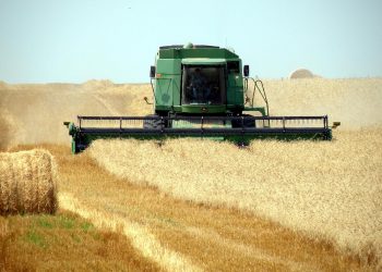 Biçerdöverlerin Test Edilmesine İlişkin ANTAM Web Eğitimi (11 Ekim 2022, 14:00-16:30 GMT+8)