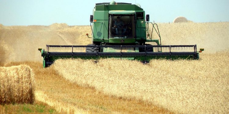 Biçerdöverlerin Test Edilmesine İlişkin ANTAM Web Eğitimi (11 Ekim 2022, 14:00-16:30 GMT+8)