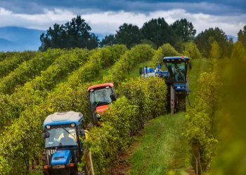 II. Meyve Yetiştiriciliğinde Mekanizasyon Çalıştayı’nın Programı Belli Oldu!