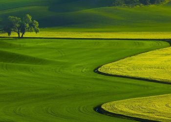 Avrupa’da Çayır Tarımına Yönelik Tarım Makineleri Pazarı, Geçen Sezona Göre Stabil Bir Seyir İzledi!