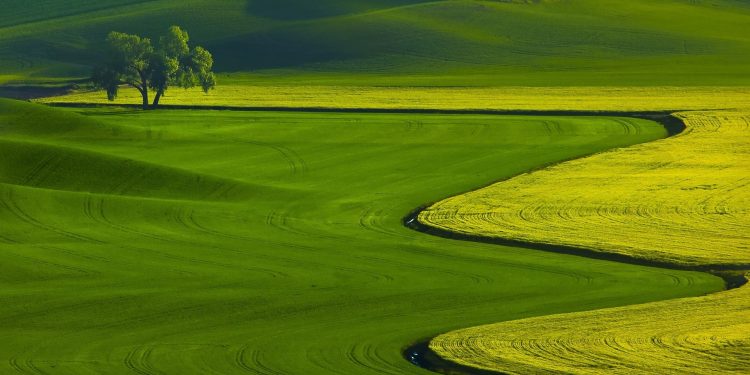 Avrupa’da Çayır Tarımına Yönelik Tarım Makineleri Pazarı, Geçen Sezona Göre Stabil Bir Seyir İzledi!