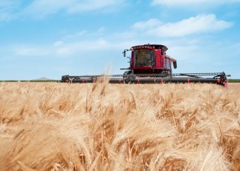 AB’de Karayolu Dışında Kullanılan Mobil Makineler Tip Onay ve Piyasa Gözetimi Mevzuatına Dahil Olacak!