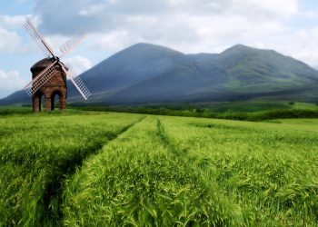 UHK Üretim Rekoltesi Tahmin Raporları & TMO Ürün Fenolojik Değerlendirme Raporu (Nisan 2023)