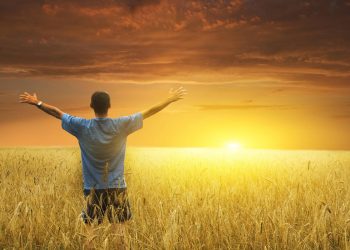 Yeni Dönem Kırsal Kalkınma Destekleri Kapsamında Tarıma Dayalı Yatırımların Desteklenmesi Hakkında Tebliğ (No: 2023/51) Yayınlandı!