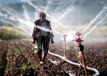 Bireysel Sulama Sistemlerinin Desteklenmesi Programı 2024 Yılı Uygulama Rehberi Yayınlanmıştır!